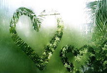 2012年NBA总决赛G5发生了什么?经典回放带你重温热血巅峰对决